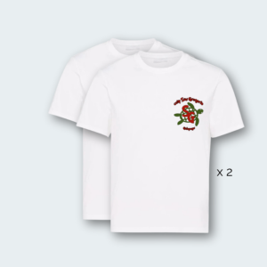 Pack camiseta uniforme escolar colegio San Gregorio
